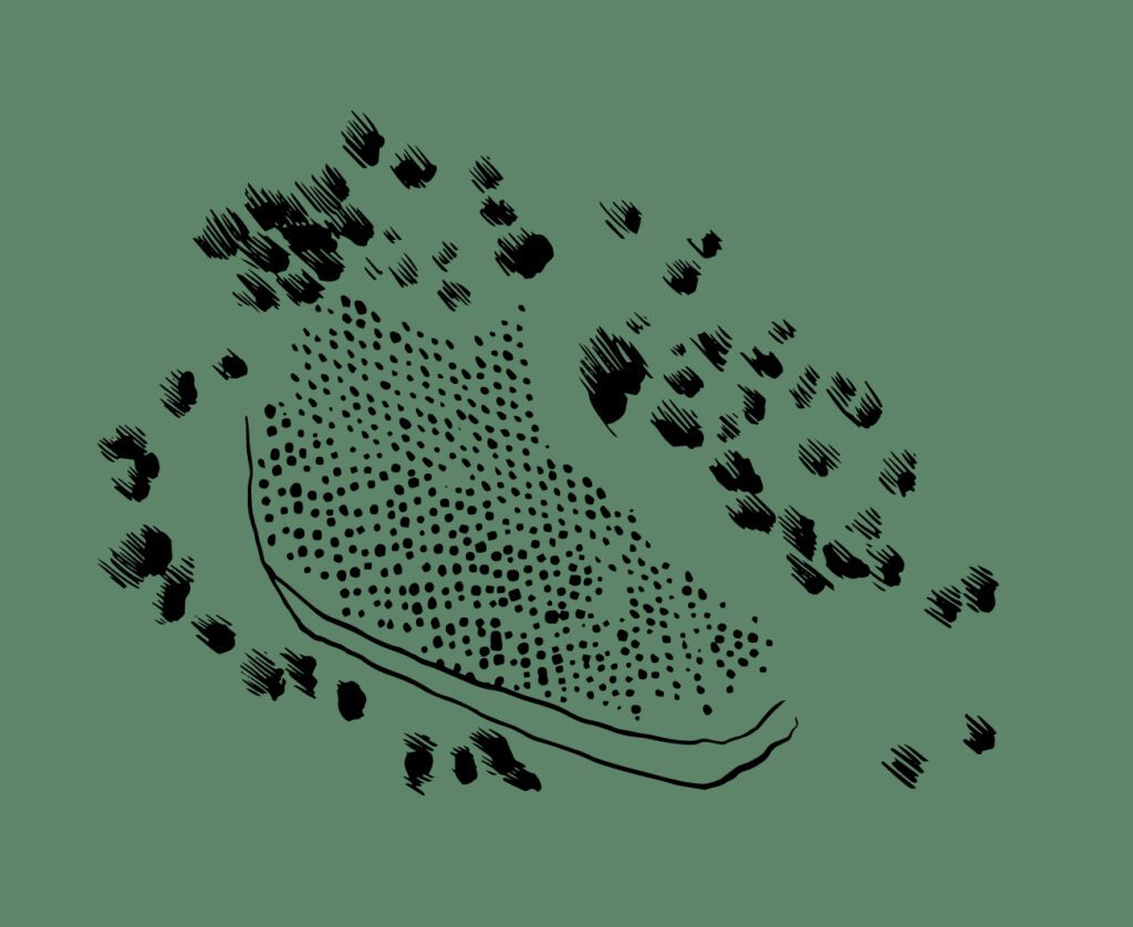 Marta Botas - EL REVENTON – MARTA BOTAS 01 ILUSTRACION