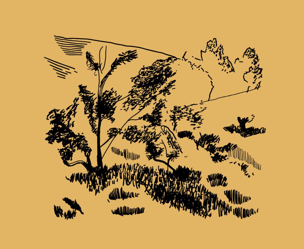 Marta Botas - EL REVENTON – MARTA BOTAS 02 ILUSTRACION