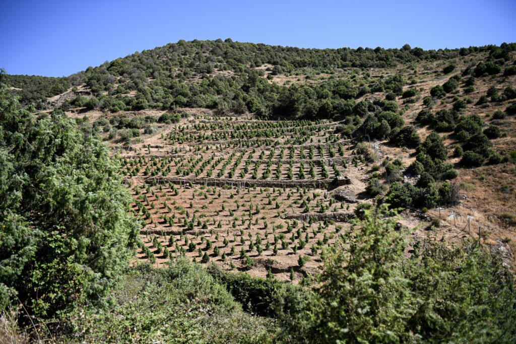 Marta Botas - El Reventón Ladera