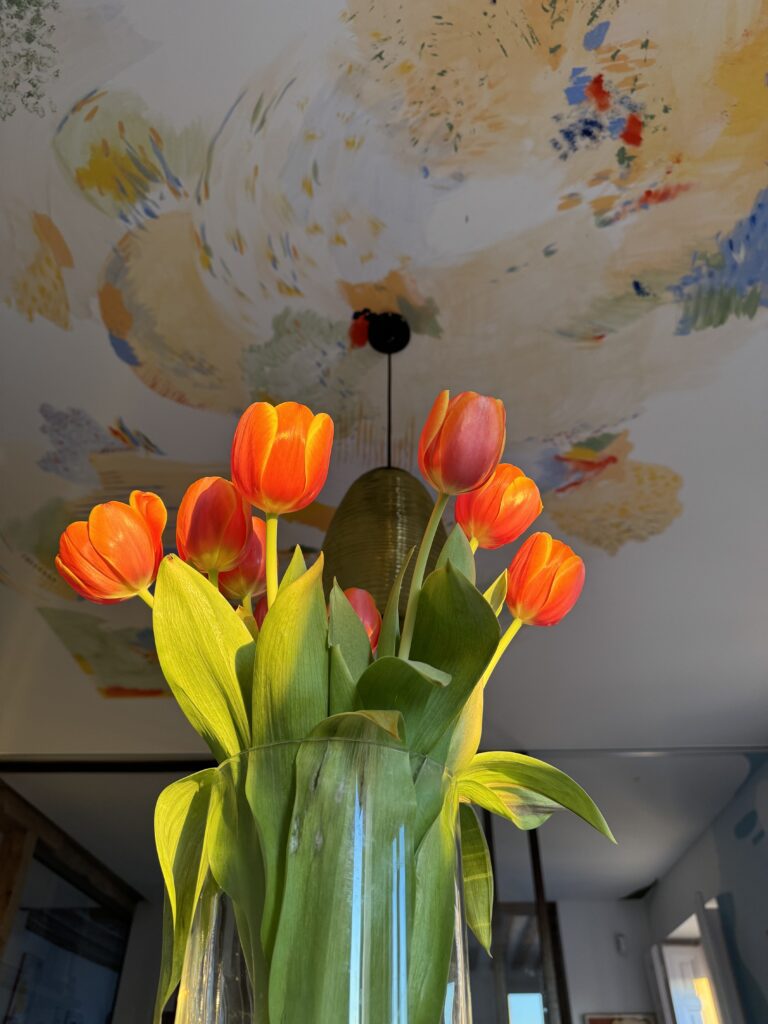 Marta Botas - IMG_4679