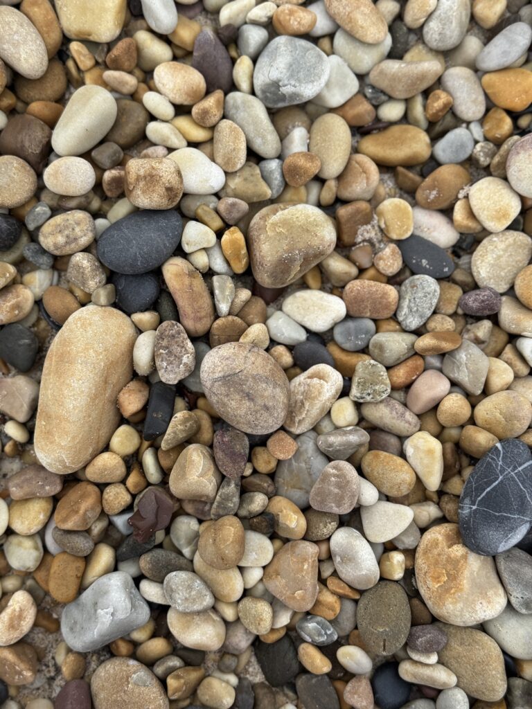 Marta Botas - IMG_0704