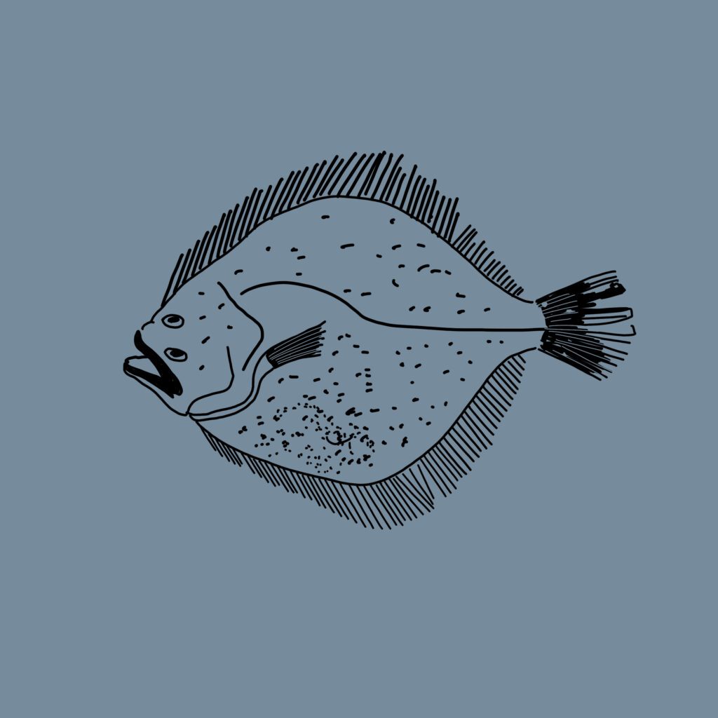 Marta Botas - KAVA-MARBELLA – MARTA BOTAS 7