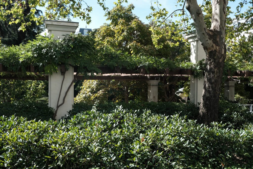 Marta Botas - MARTA BOTAS FUNDACIÓN JUAN MARCH-16