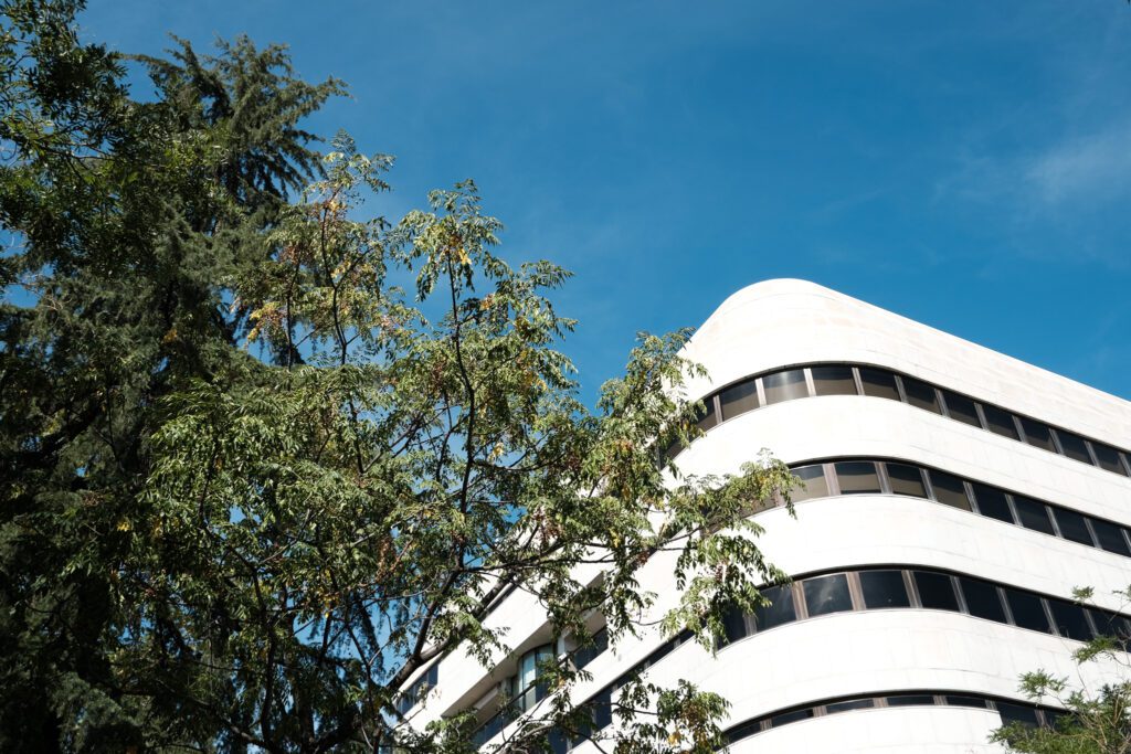 Marta Botas - MARTA BOTAS FUNDACIÓN JUAN MARCH-18