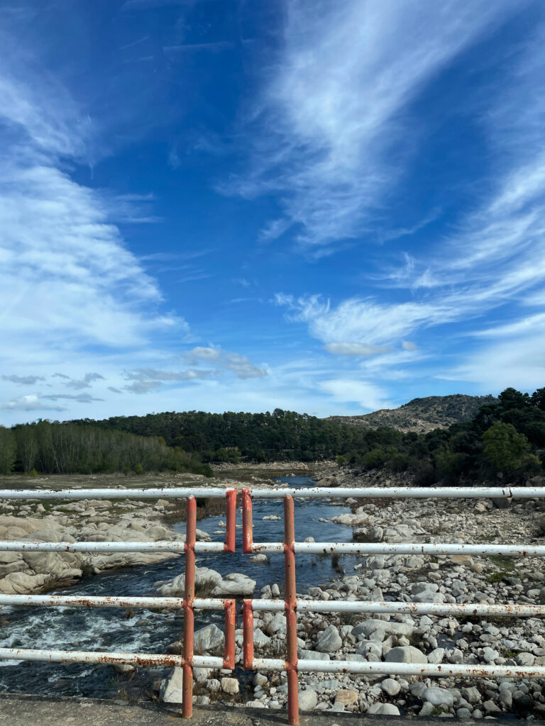 Marta Botas - MARTA BOTAS -GEAROID-43