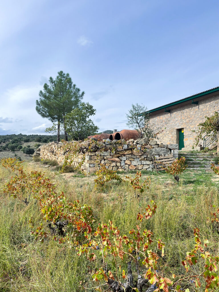 Marta Botas - MARTA BOTAS -GEAROID-44