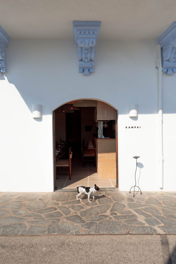 Marta Botas - kampai_Digital_MariaCapdevila_2025_-8