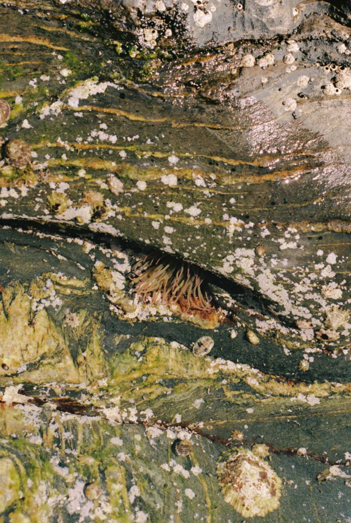 Marta Botas - kampai_FILM_MariaCapdevila_2025_-86