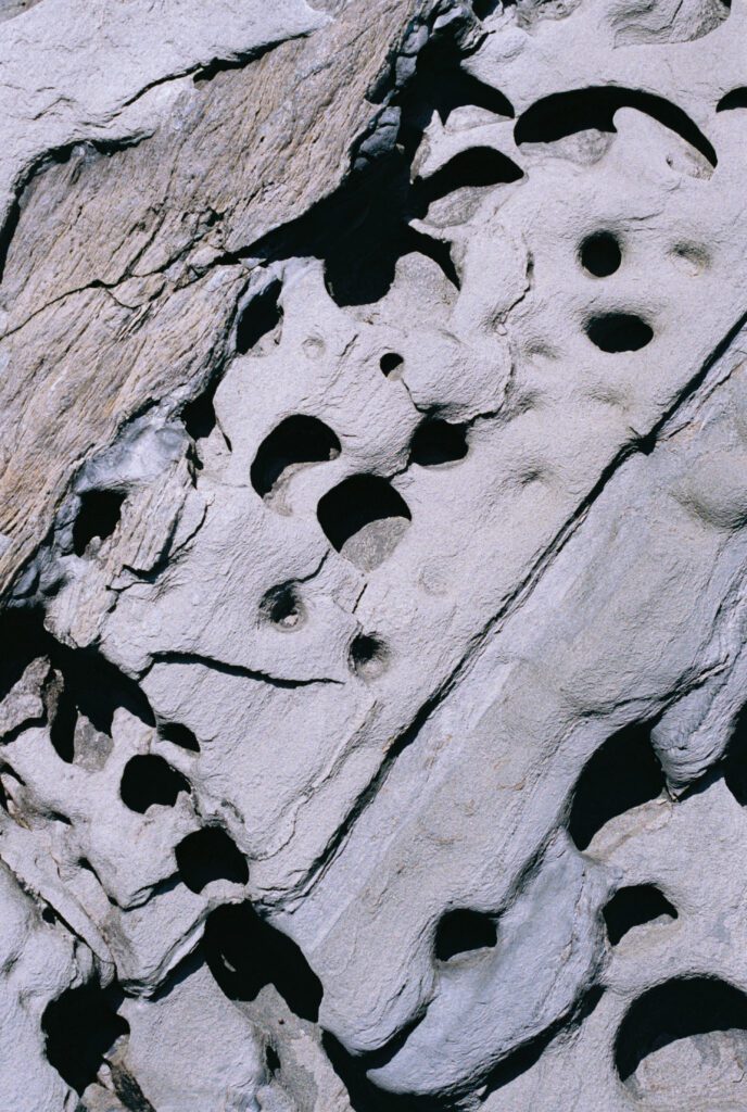 Marta Botas - kampai_FILM_MariaCapdevila_2025_-90