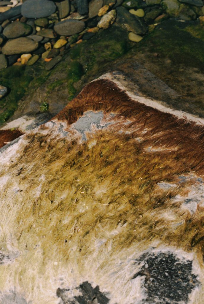 Marta Botas - kampai_FILM_MariaCapdevila_2025_-97