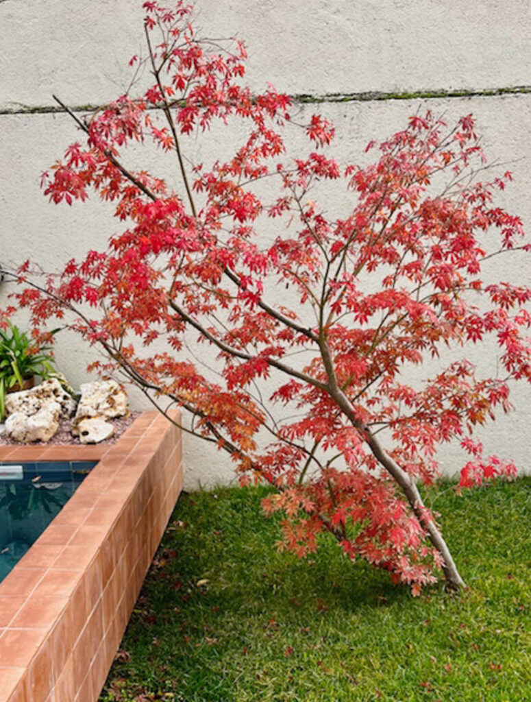 Marta Botas - MARTA BOTAS – SILVIA SARDINERO-3